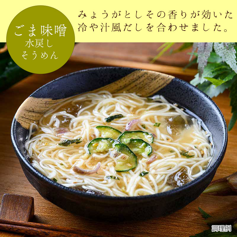 選べる水戻しそうめん3袋セット（9食）（フリーズドライ）