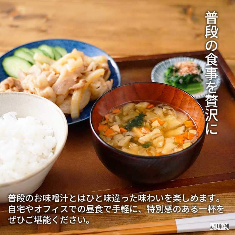 【数量限定】5種の野菜と鮭の石狩汁風（フリーズドライ）