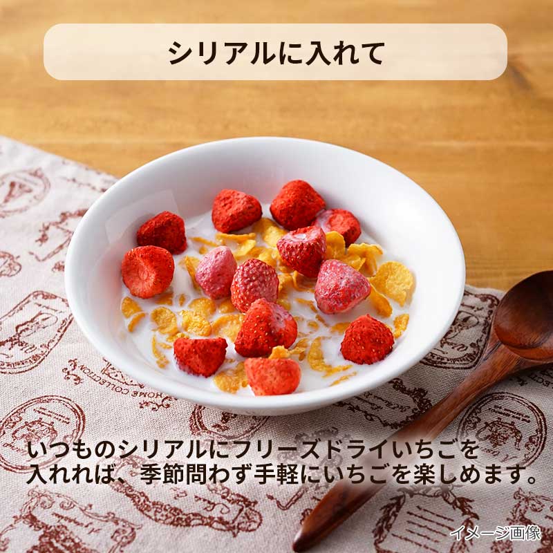 フリーズドライ　いちごホール （30g）