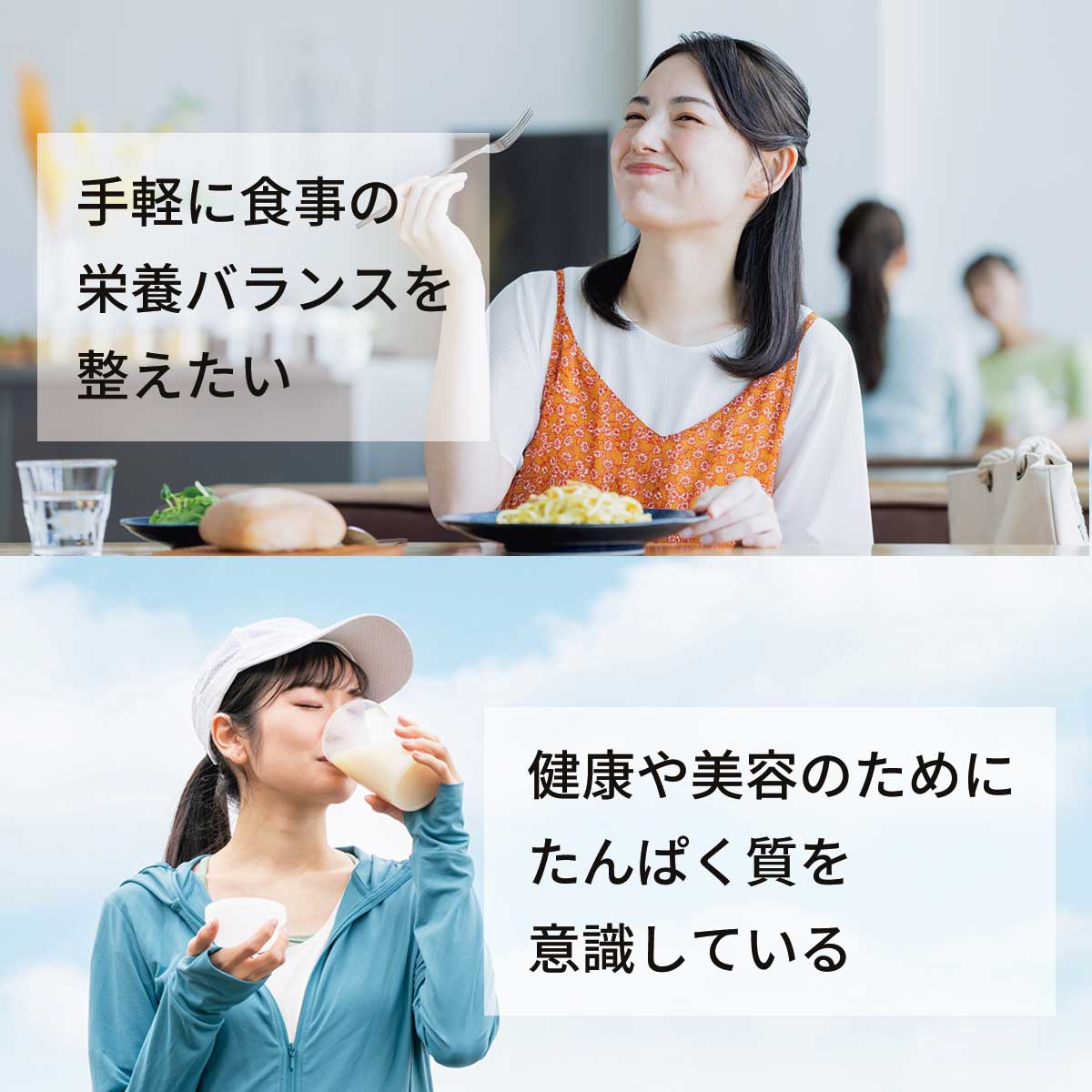 野菜とたんぱく食べ比べセット（6食）（フリーズドライ）