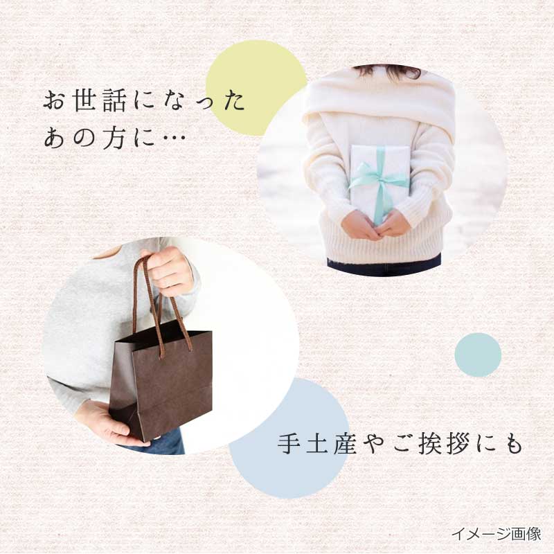 野菜とたんぱくプチギフト（6食）（フリーズドライ）