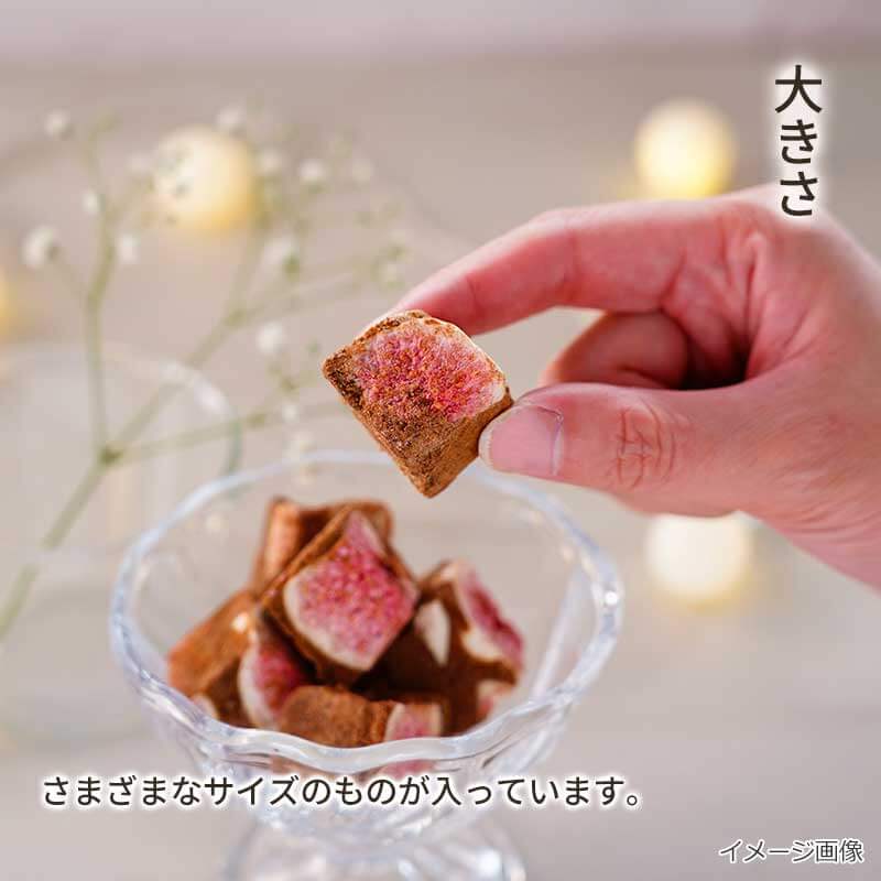 【数量限定】いちじくの初恋(45g)（フリーズドライ）