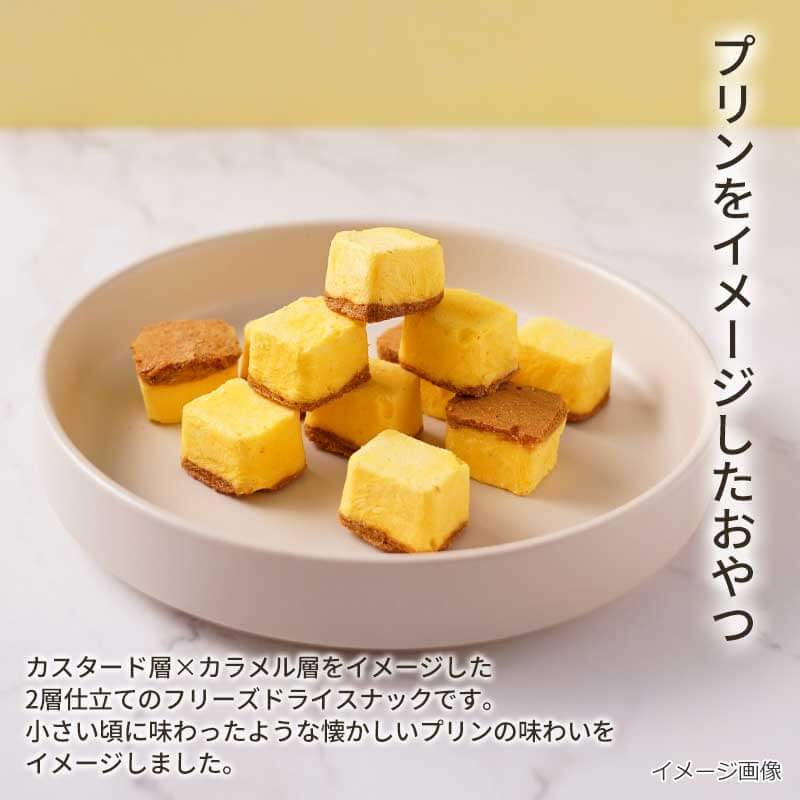 【数量限定】おかしなプリン