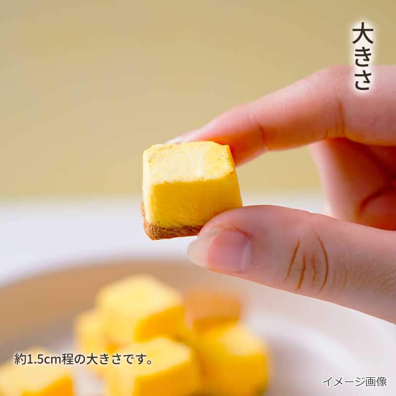 【数量限定】おかしなプリン