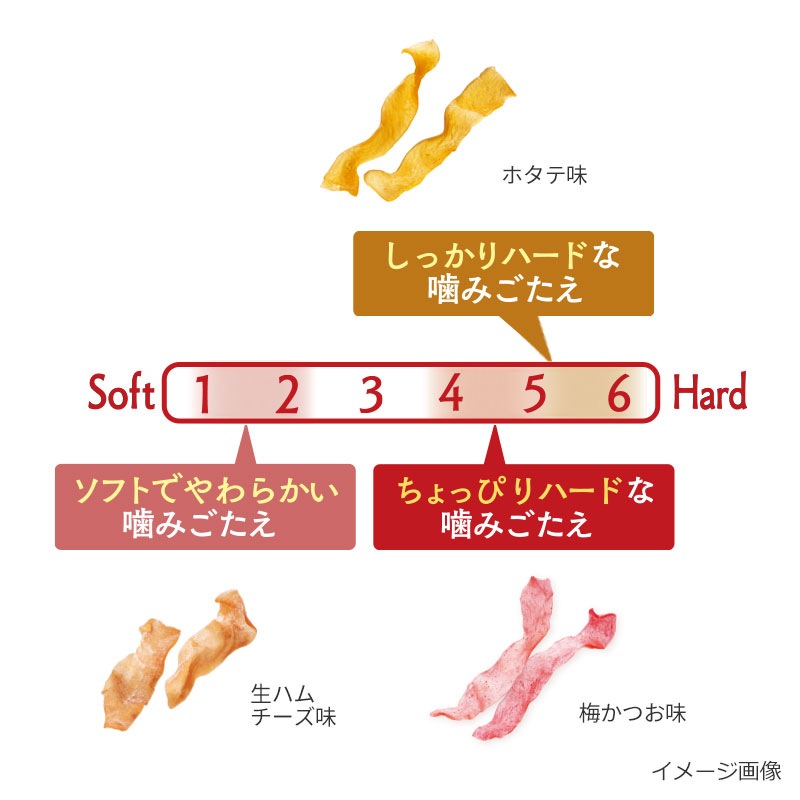 【送料無料】かむこん食べ比べセット(6袋)