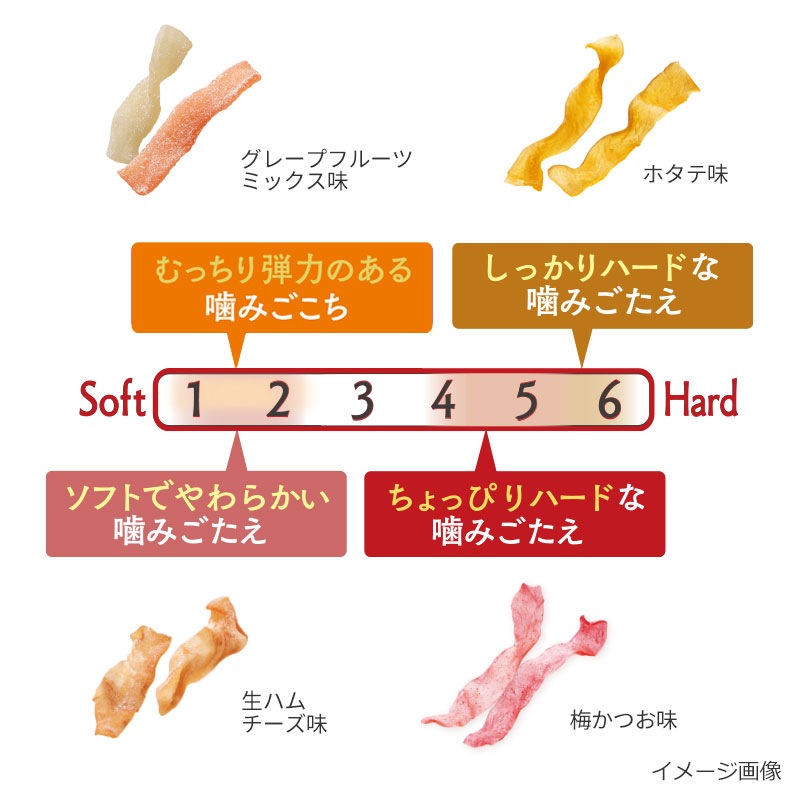 【送料無料】かむこん食べ比べセット(6袋)