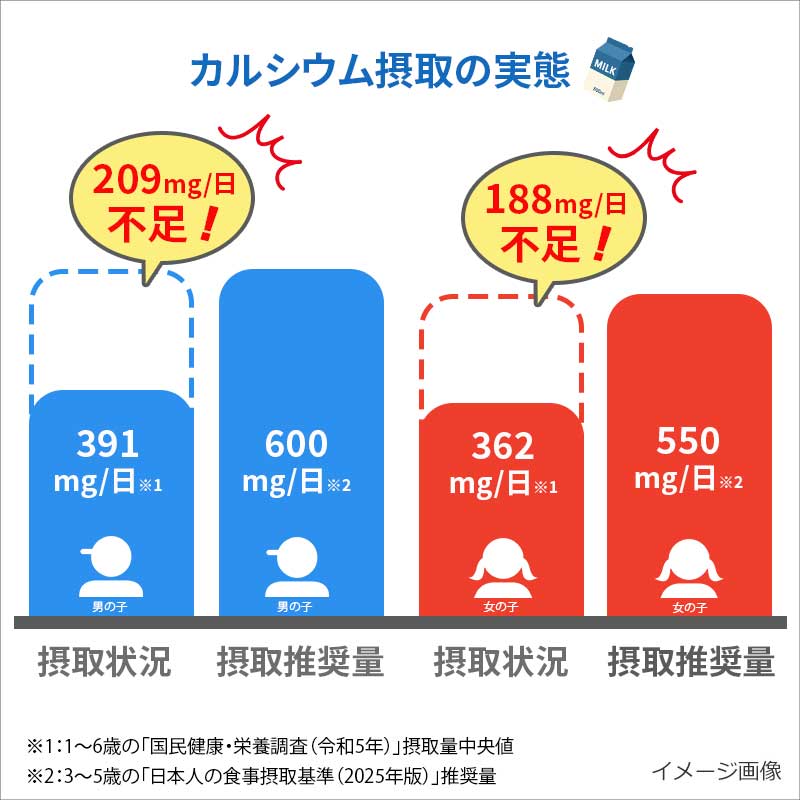 まとめ買い 信州りんごフルーツミックス(20食)(フリーズドライ)