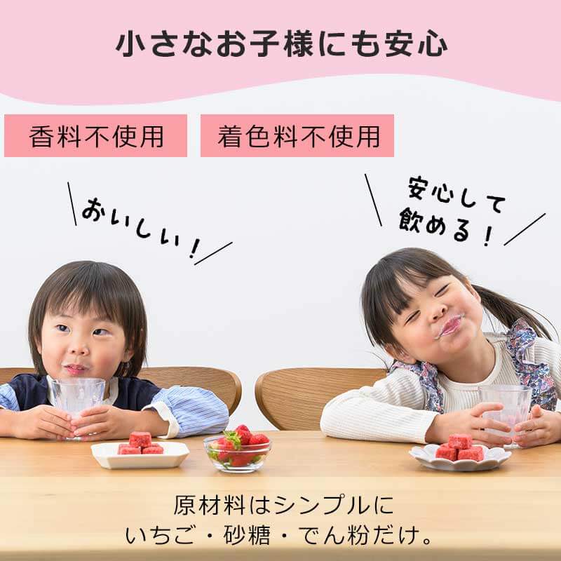 ちょこっとザク切りいちご(フリーズドライ)