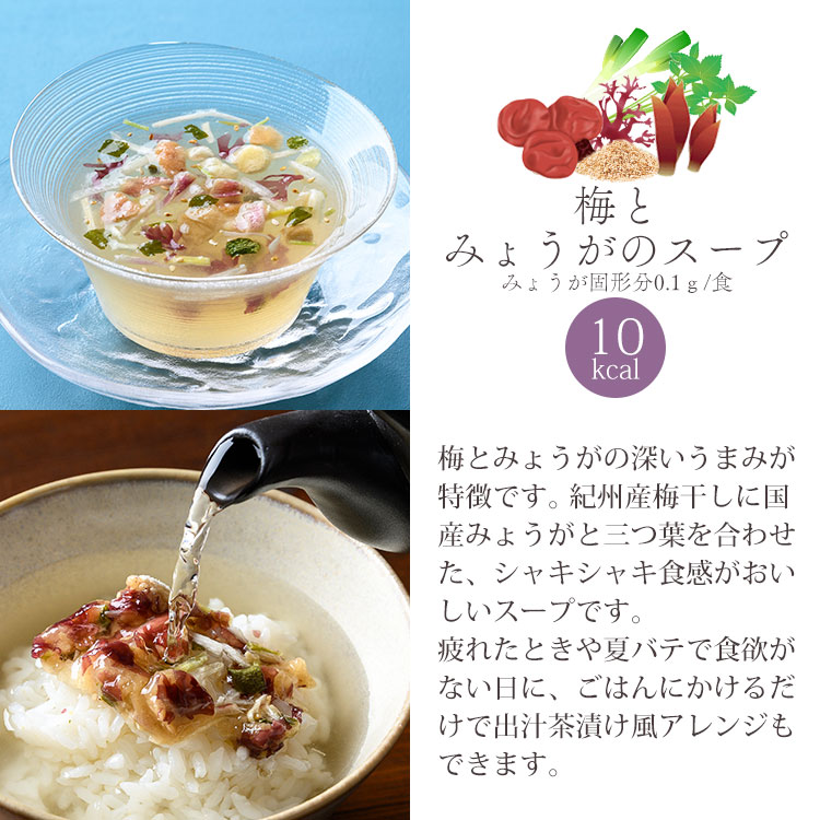 【夏限定】フリーズドライ 涼味三昧ギフト