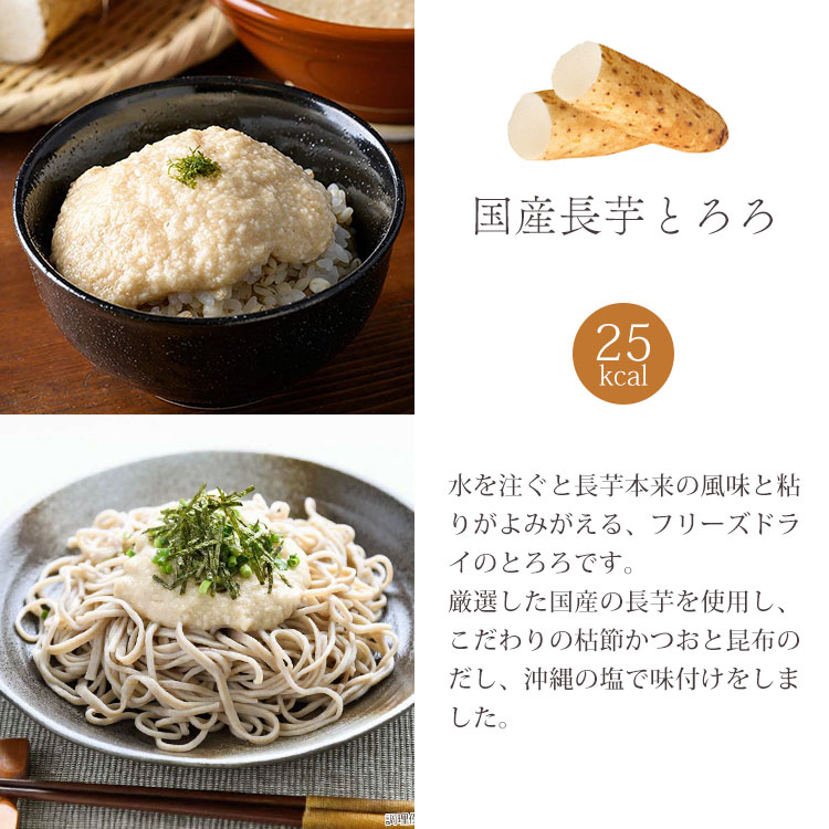 【夏限定】フリーズドライ 涼味三昧ギフト
