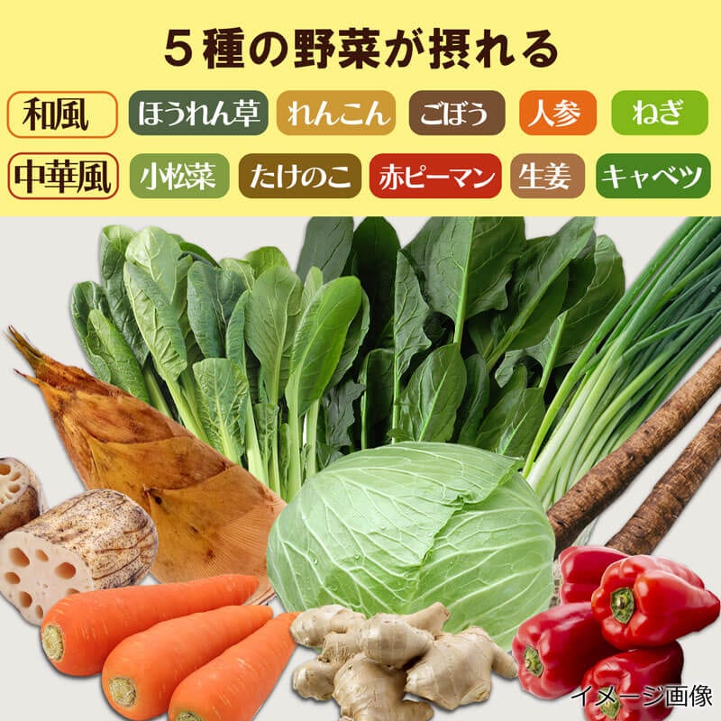 【数量限定】野菜とたんぱく　雑炊セット（2種6食）（フリーズドライ）