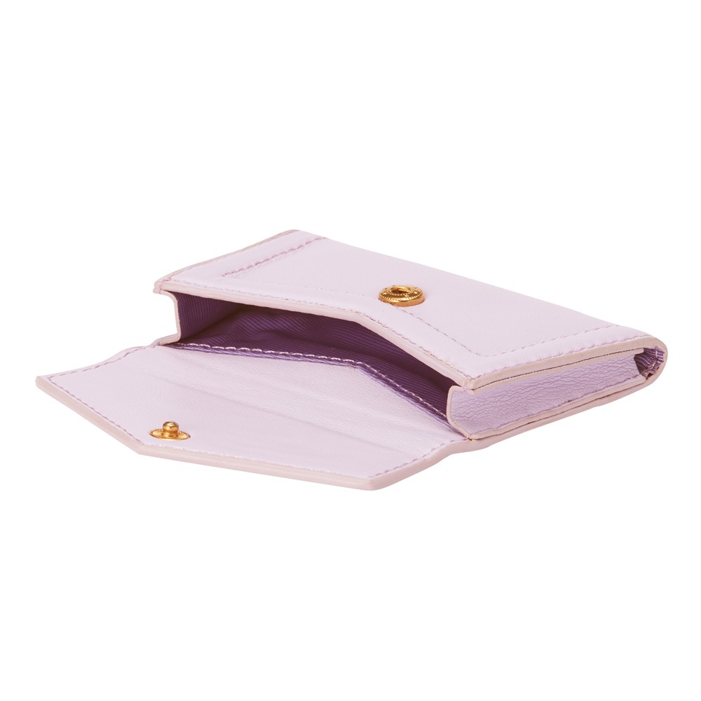 Rielsa Card Case for Ivy �����ӡ� �ޥ�������ɥ�������STARRY FEM �������꡼�ե����