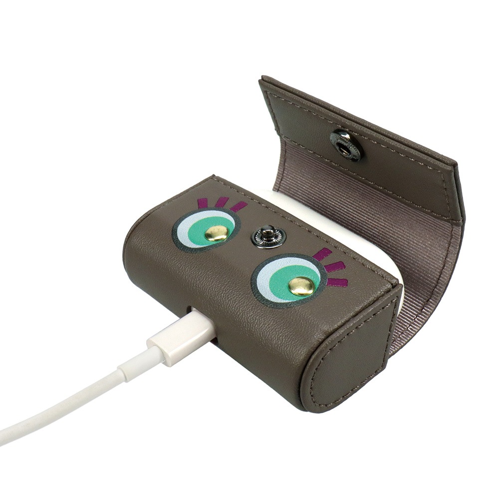 LOOKWAY for AirPodsPro Case02 �֥饦�� ��1����/��2�����б� �����ݥå� �ץ� ��������STARRY FEM �������꡼�ե����