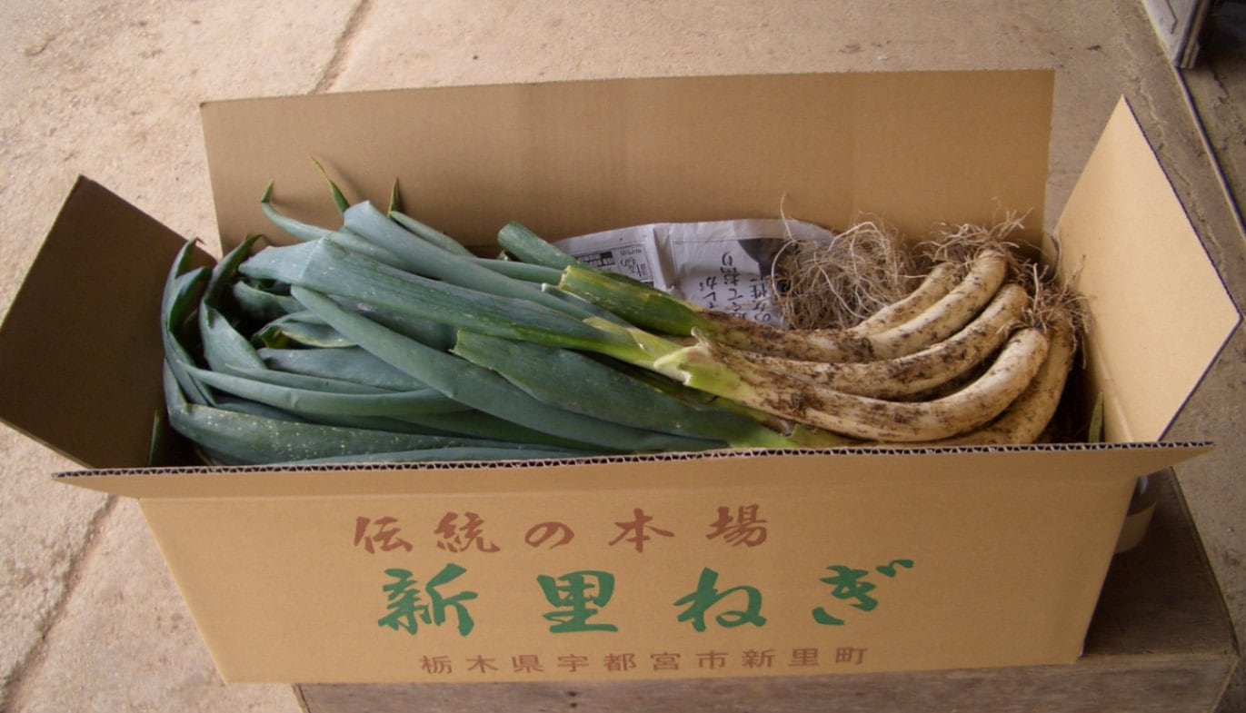 【数量限定】直売所発送！宇都宮・新里町産「新里ねぎ4Kg」お届け日はおまかせ