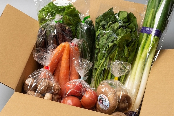 ちさと様の野菜詰め合わせ 3箱 Amazon.co.jp: 野菜詰め合わせ おまかせ国産野菜セット 10～13品