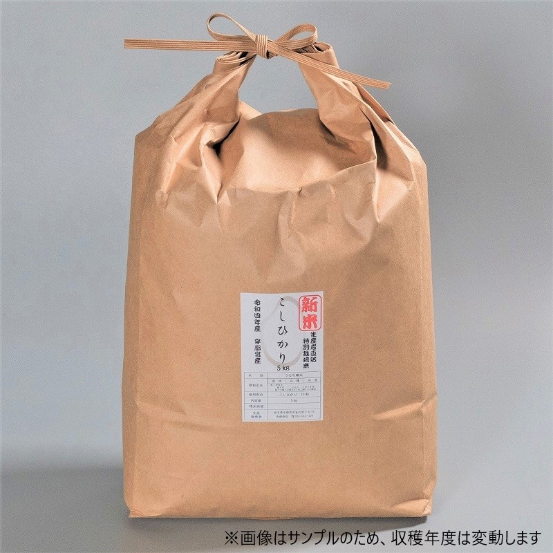 令和8年産新米　こしひかり 5kg【お届け日はおまかせ】