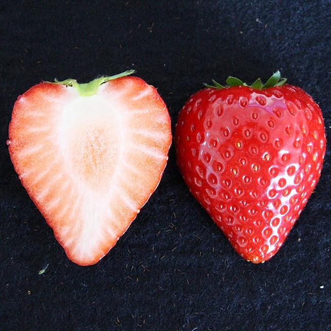 【数量限定】とちあいかお取り寄せ満足セット《 お届け日時はおまかせ 》