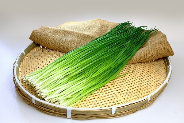 ろまんちっく村　ねぎにら入り餃子 30個入【お届け日はおまかせ】