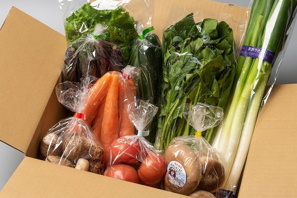 ろまんちっく村　採れ立て！新鮮！栃木のお野菜セット