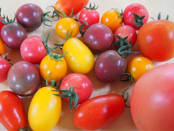 ベジファーム　有機畑のいろどり野菜BOX【2月･3月･9月･10月 発送不可】【お届け日はおまかせ】