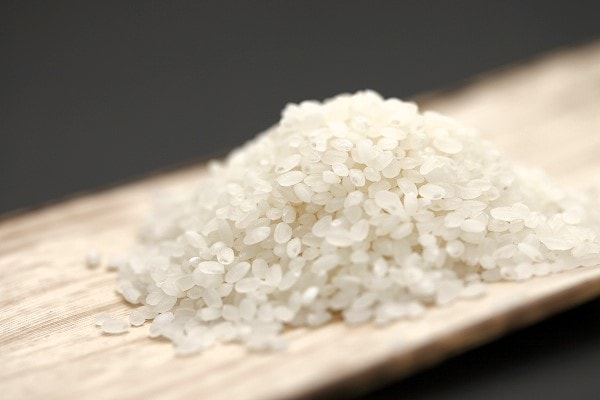 柴田農園　弁慶米10㎏【お届け日はおまかせ】