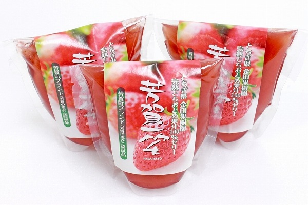 金田果樹園　完熟とちおとめゼリー10個セット