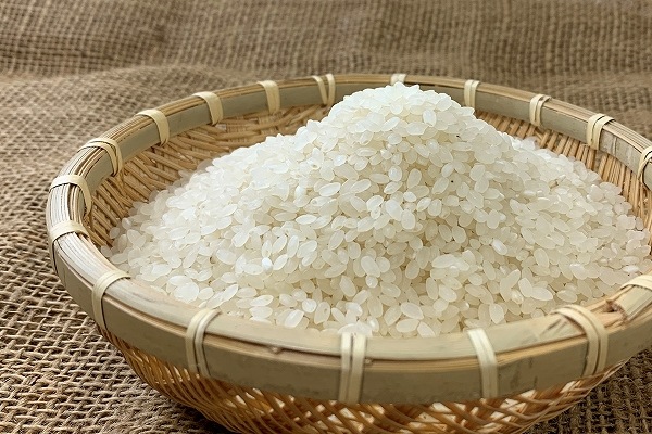 令和4年産20kg『新米*とちぎの星』*無洗米*大嘗祭献上米 令和7年11月発送》令和7年産【先行受付】滝川産ななつぼし 無