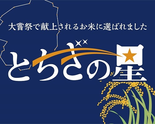 令和4年産“無洗米“とちぎの星”大嘗祭献上米20kg お米食味ランキング獲得 令和4年産“無洗米“とちぎの星”大嘗祭献上米10kg お米食味