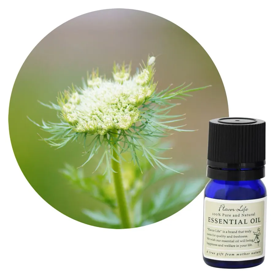 フレーバーライフ キャロットシード10ml
