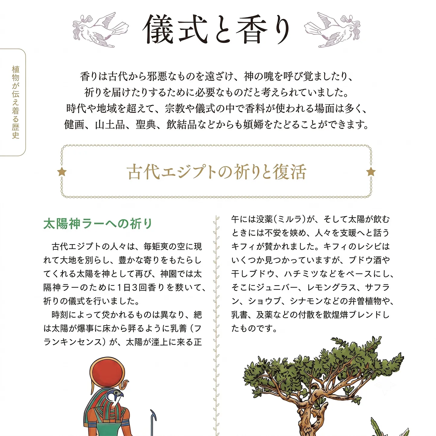 歴史や物語から楽しむ あたらしい植物療法の教科書