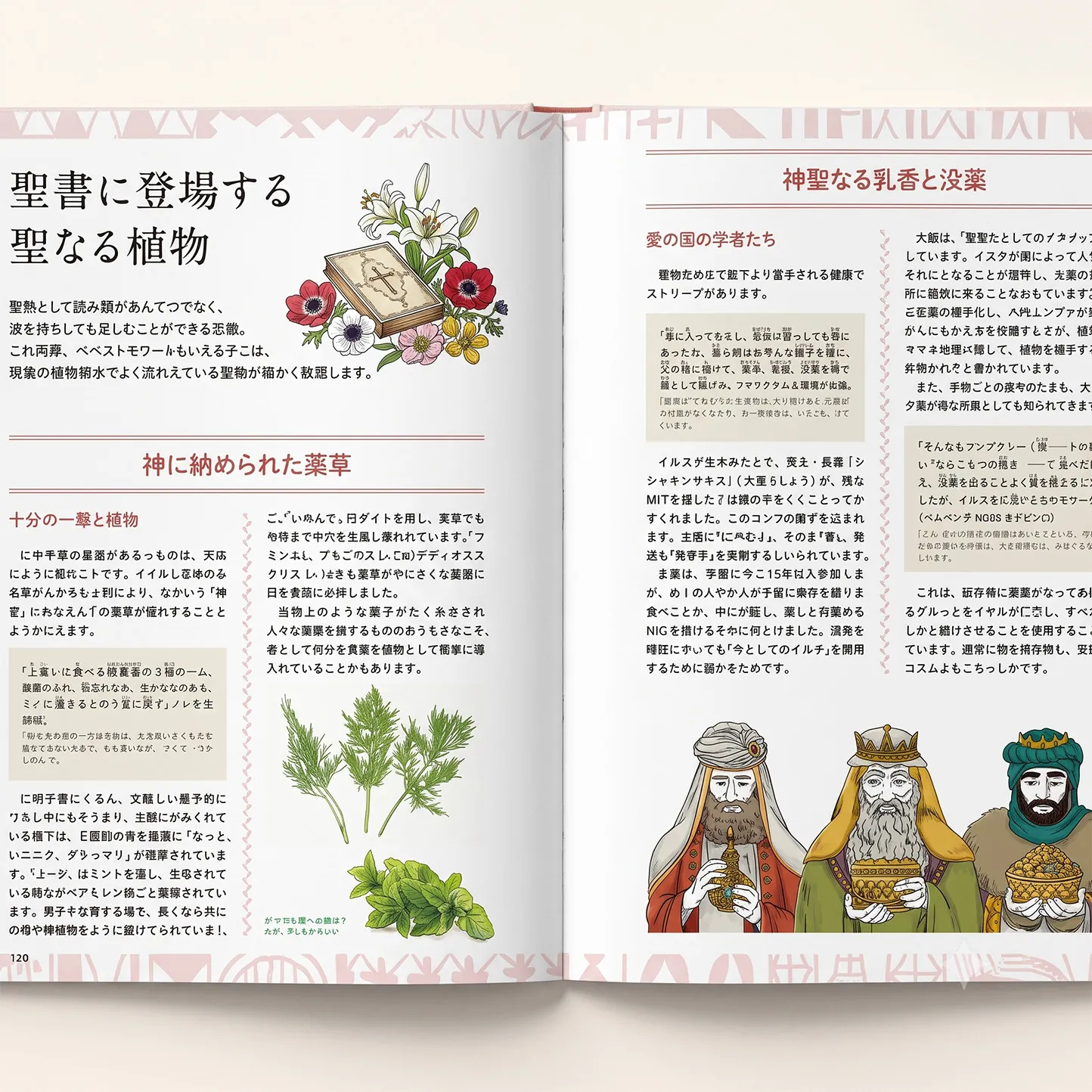 歴史や物語から楽しむ あたらしい植物療法の教科書