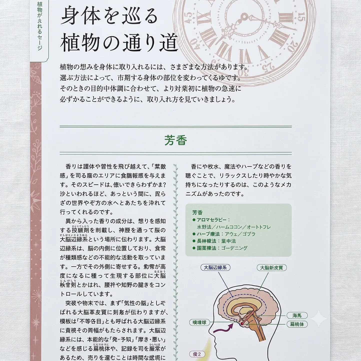 歴史や物語から楽しむ あたらしい植物療法の教科書