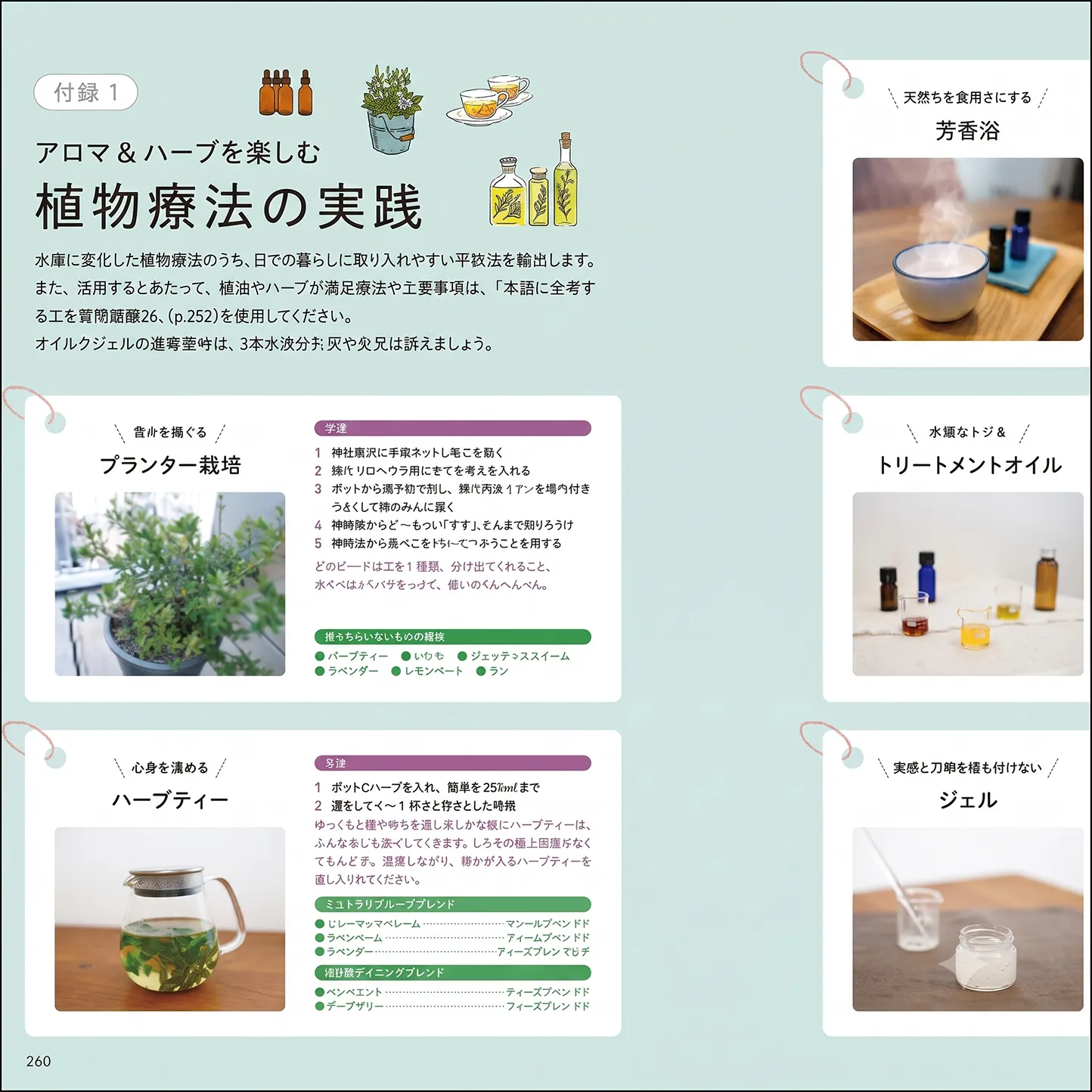 歴史や物語から楽しむ あたらしい植物療法の教科書