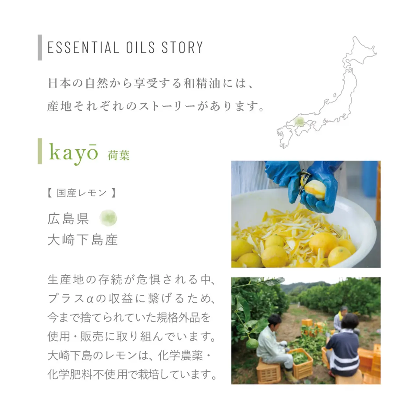 【hana to mi】アロマティックミスト kayo