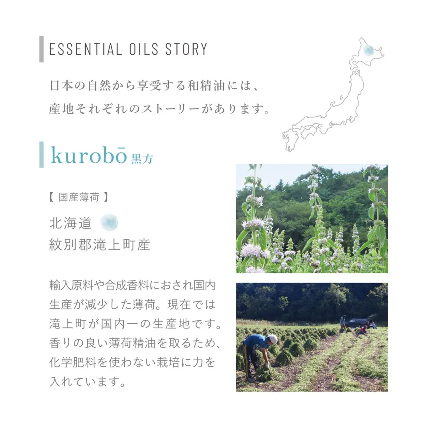 【hana to mi】アロマティックミスト kurobo
