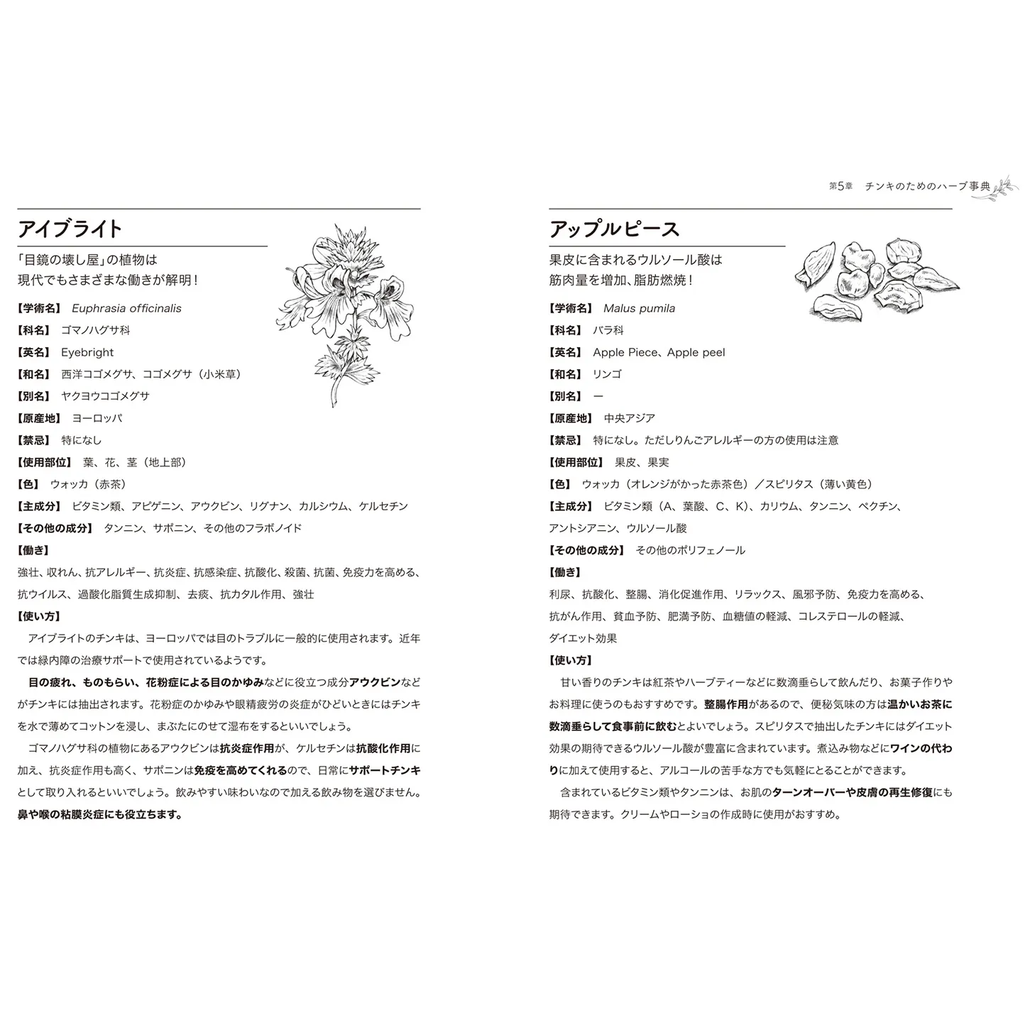 暮らしに役立つハーブチンキ事典