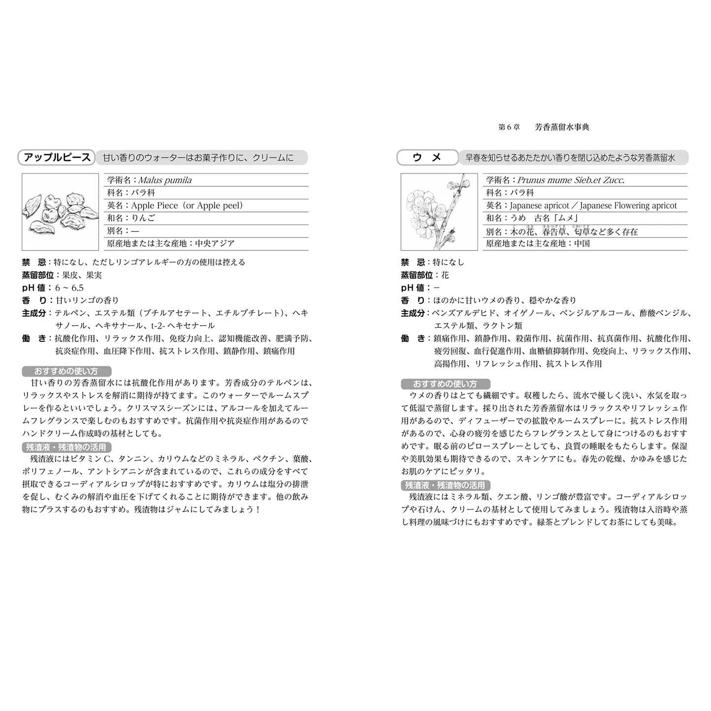 蒸留法、効能、活用術まですべてがわかる！　芳香蒸留水の本