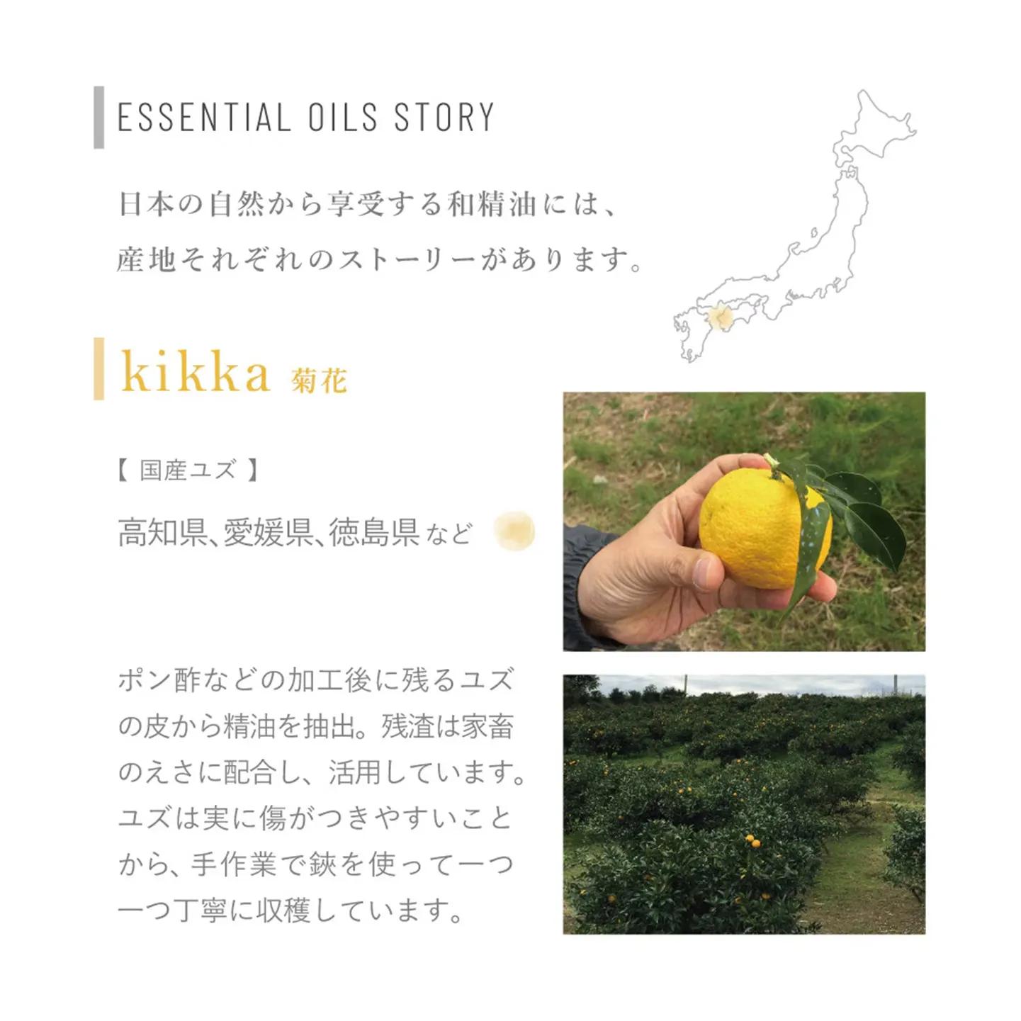 【hana to mi】ハンドクリーム kikka