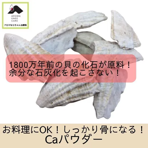 八雲貝カルシウム　Caパウダー