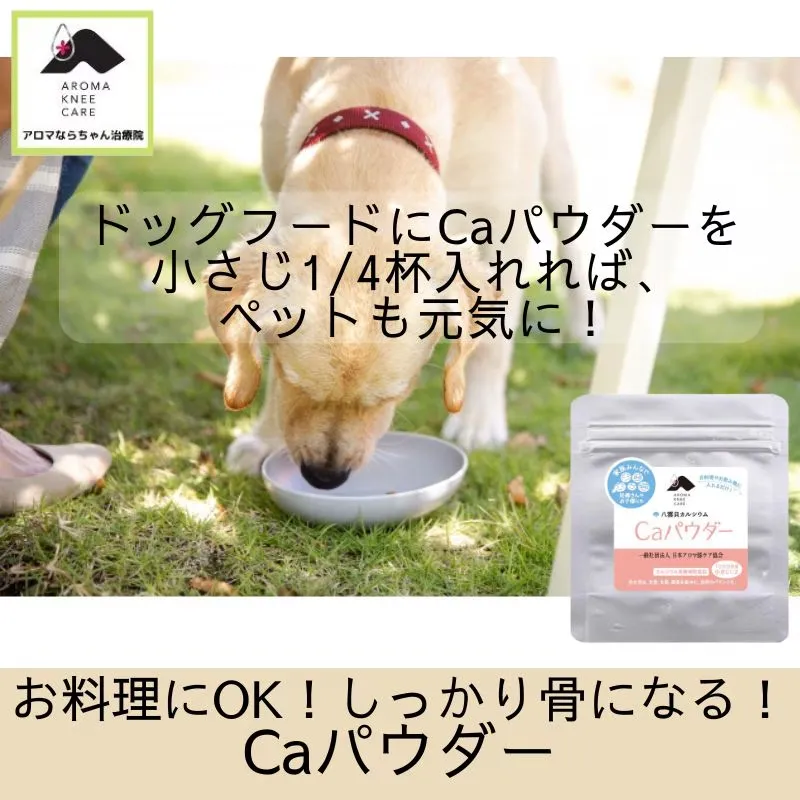 八雲貝カルシウム　Caパウダー