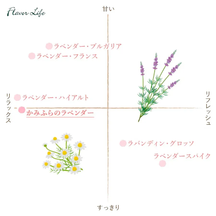 フレーバーライフ かみふらのラベンダー