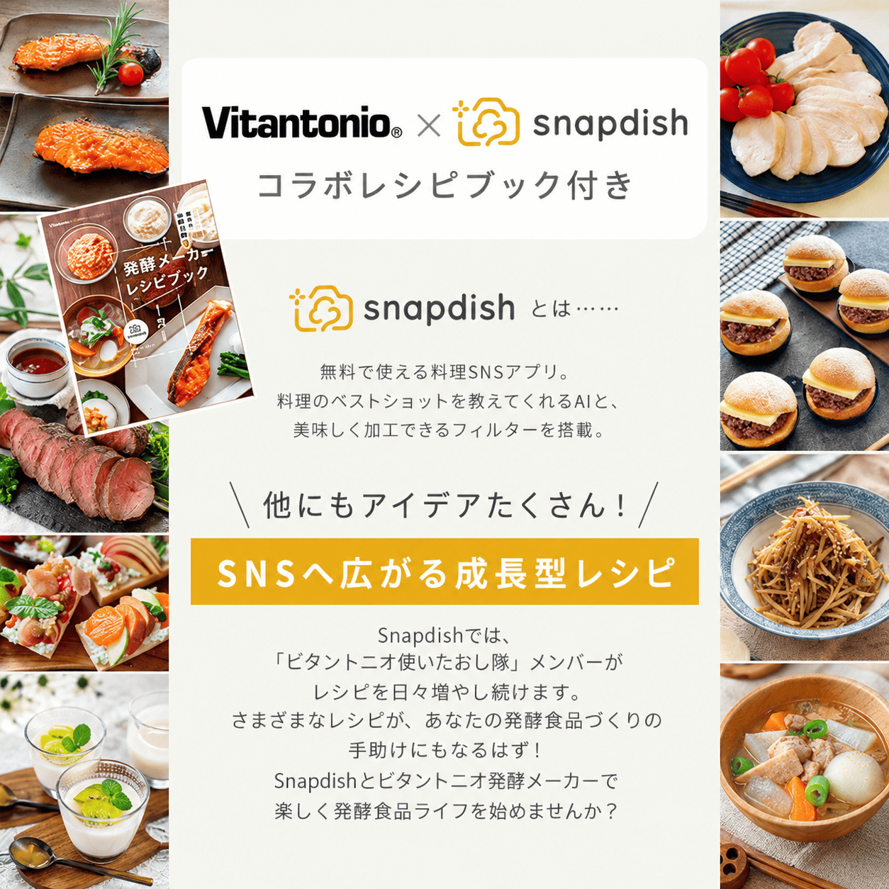Vitantonio 発酵メーカー FERMENTATION MAKER VFM-10-W