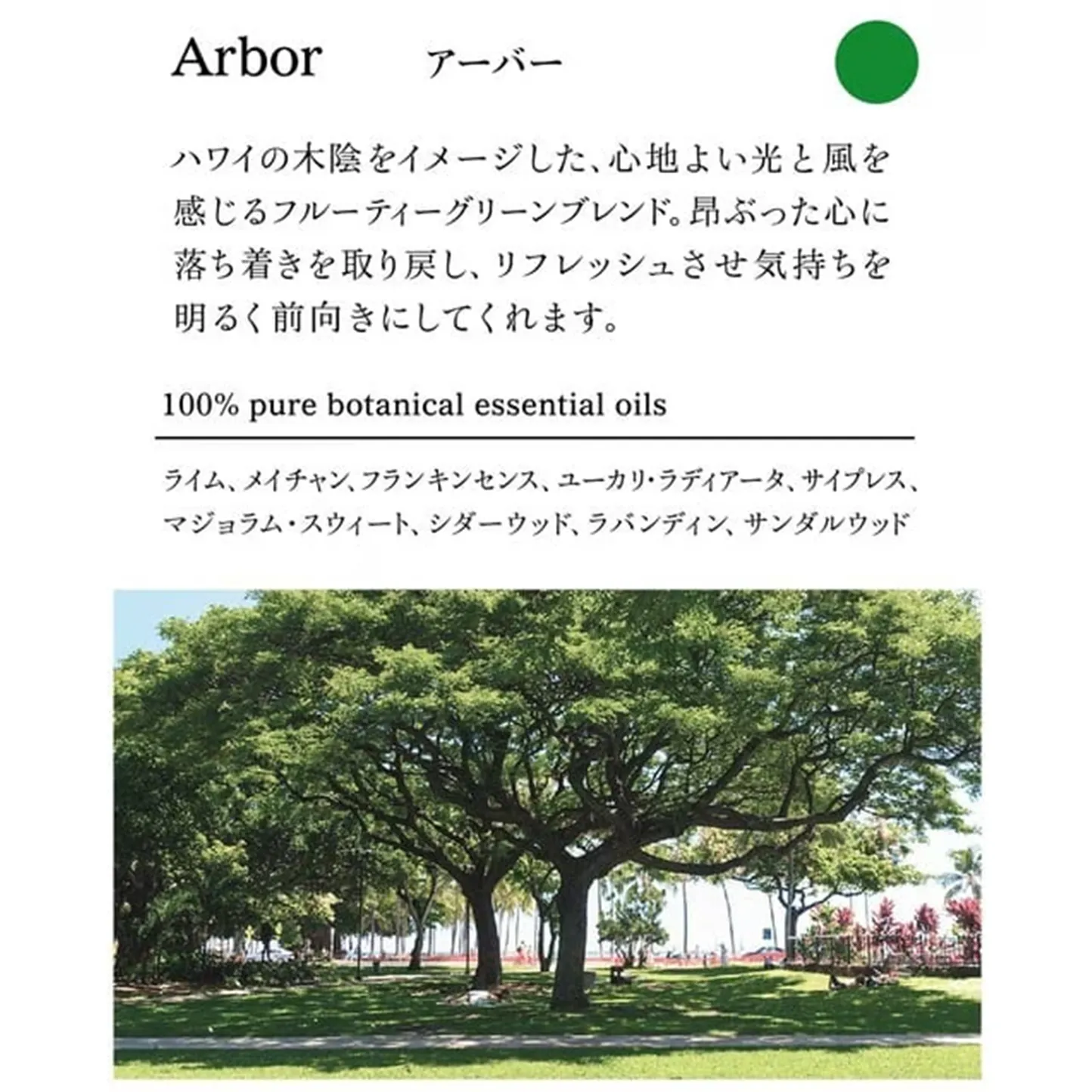 【アラレフア】クリアミスト