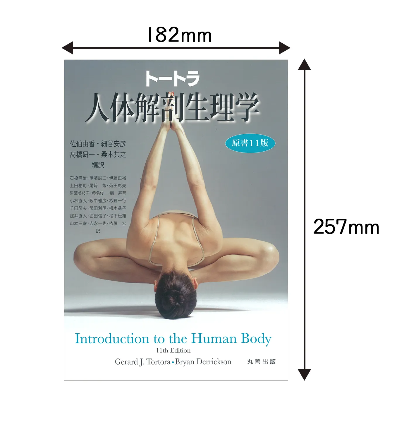 【書籍】『トートラ人体解剖生理学　原書11版』