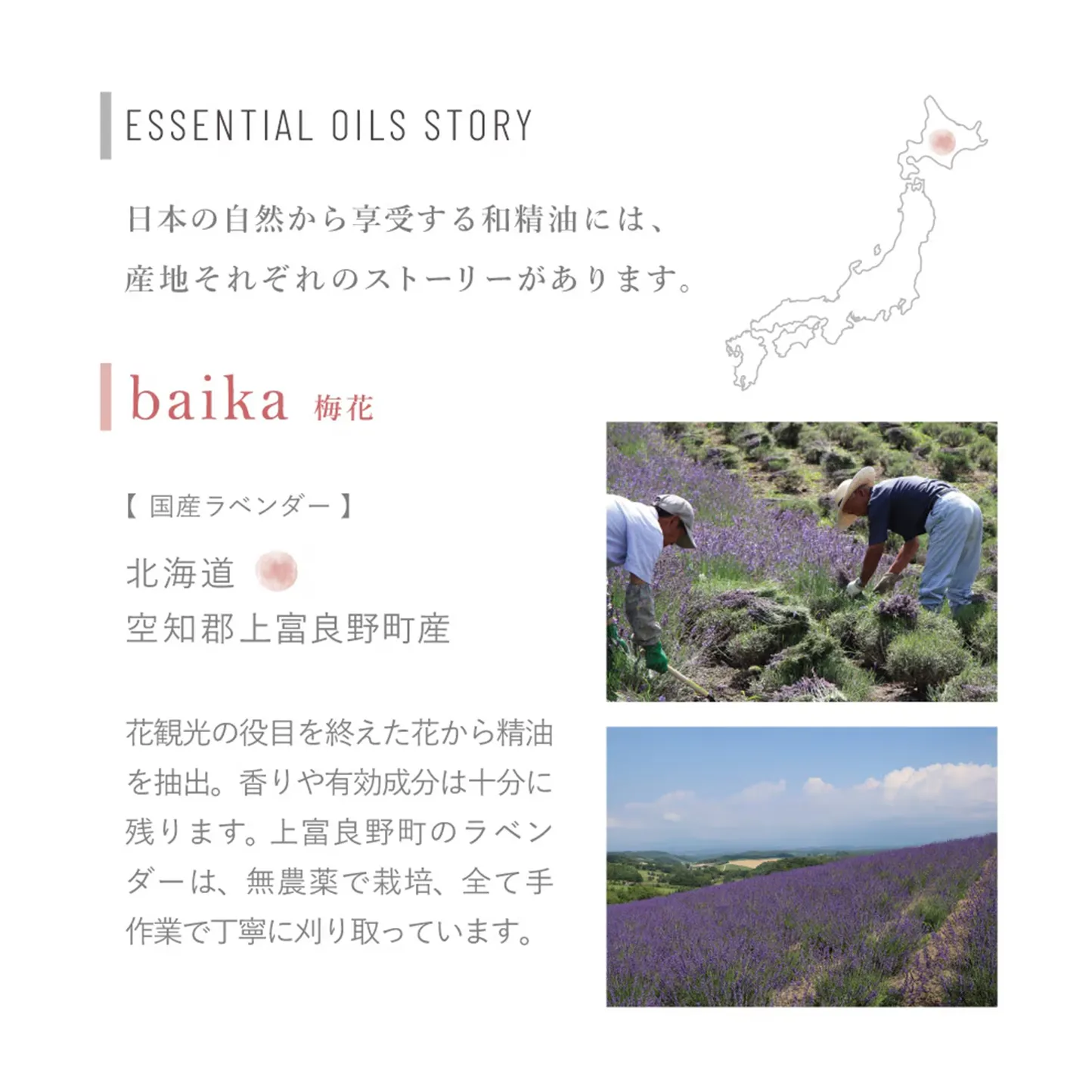 【hana to mi】ハンドクリーム baika