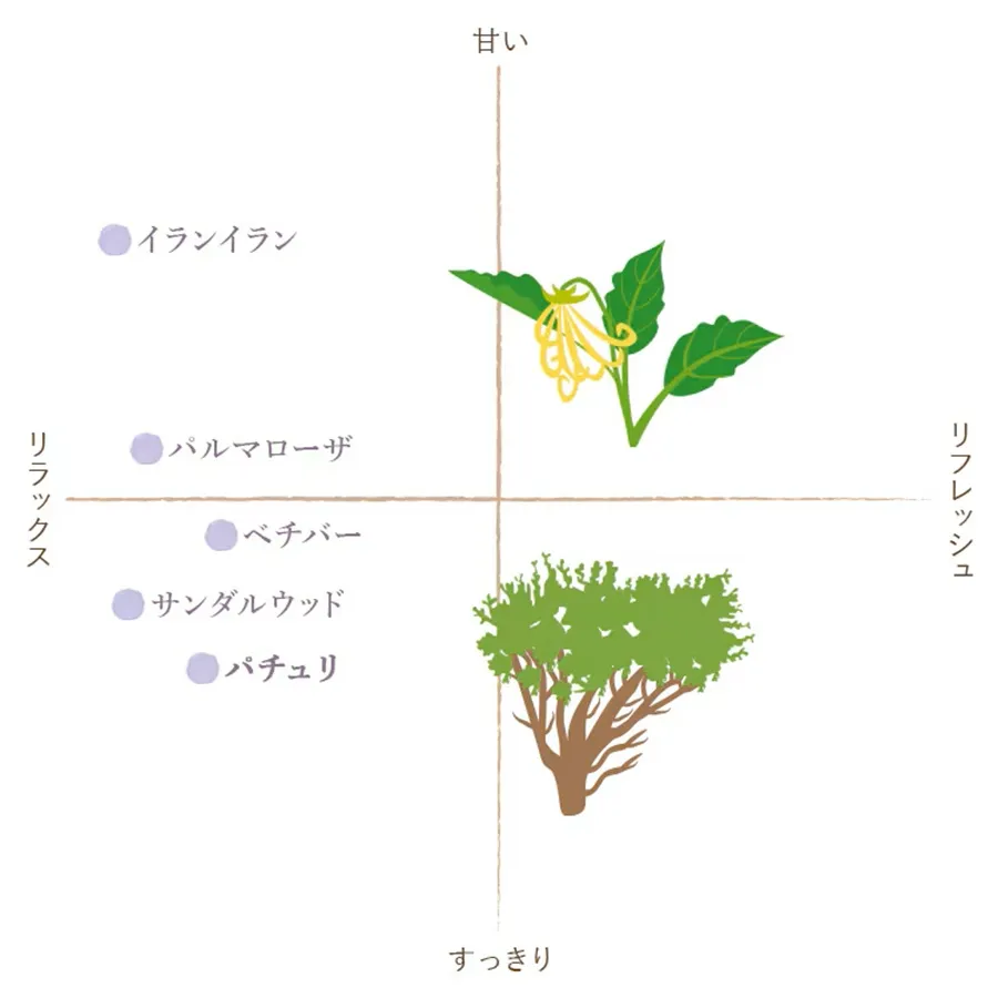 フレーバーライフ パチュリ