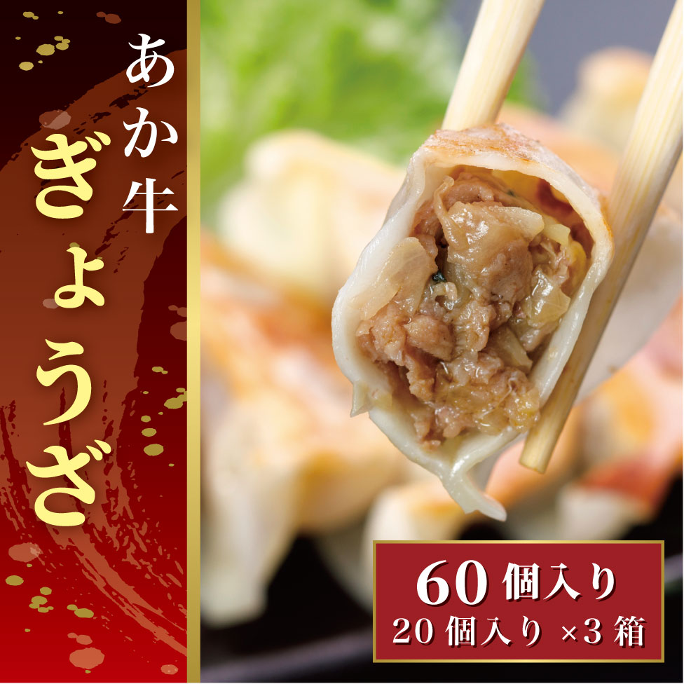 熊本和牛あか牛ぎょうざ 60個(あか牛ぎょうざ20個入り×3箱)【産地直送】