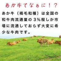 あか牛サーロインステーキ(あか牛サーロインステーキ200g×2枚)【産地直送】