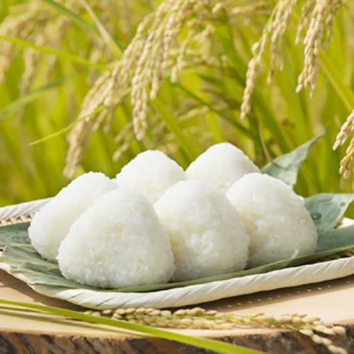 【令和7年度産】くまさんの輝き 玄米30kg【送料無料(一部地域を除く)】