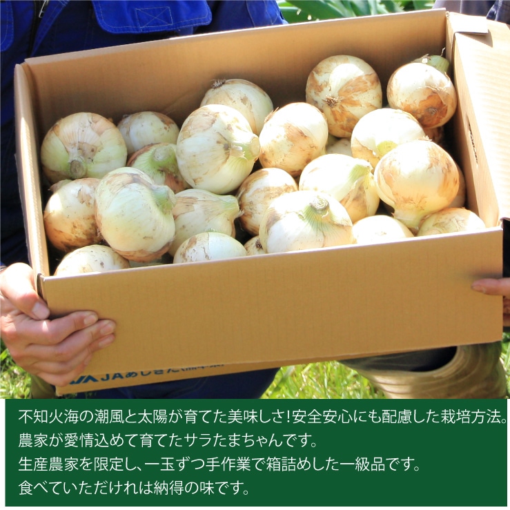 【5月中旬発送予定分】サラたまちゃん